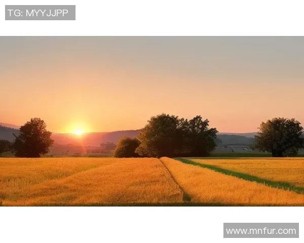 足球明星精彩瞬间壁纸合集尽享视觉盛宴与激情时刻